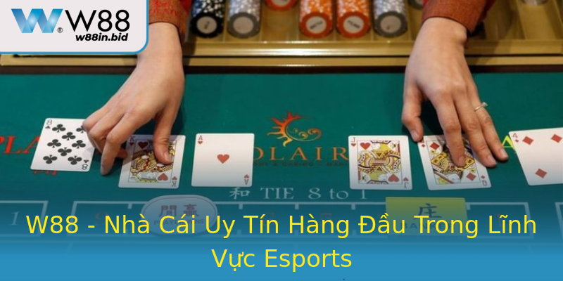 W88 - Nhà Cái Uy Tín Hàng Đầu Trong Lĩnh Vực Esports W88 - Nhà Cái Uy Tín Hàng Đầu Trong Lĩnh Vực Esports